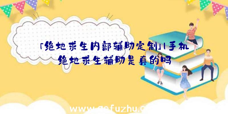 「绝地求生内部辅助定制」|手机绝地求生辅助是真的吗